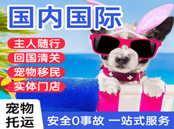 兴凯湖机场托运国际宠物托运 【国